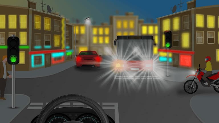 Traffic lights may be difficult to distinguish from the other bright lights.