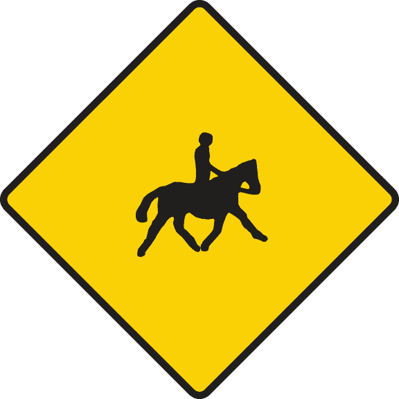 Accompanied horses and ponies ahead.