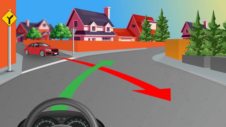 The driver in the red car should wait.